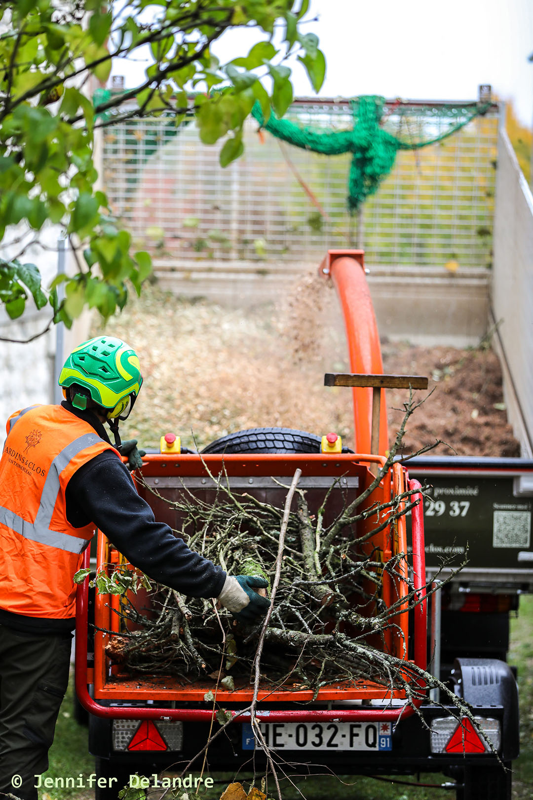 Nos arboristes au service de vos arbres