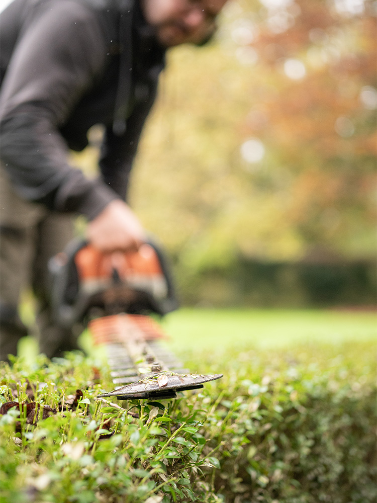 Jardins de particuliers / Service à la personne